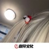 洪荒之力 (DJ版) - DJ豌豆好吃&圈妹&小可&小奶瓶