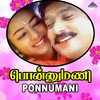 Nenjukkule Innarendru - Ilaiyaraaja&R. V. Udayakumar&S. Janaki&S. P. Balasubrahmanyam