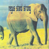Stand Strong - Peter Brown