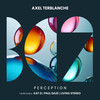 Perception (Paul Daze Remix) - Axel Terblanche&Paul Daze