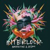 Interlock - Bassnectar&ATLiens