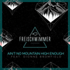 Ain't No Mountain High Enough (Radio Edit) - Freischwimmer&Dionne Bromfield