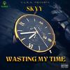 Wasting My Time (Explicit) - Skyy