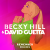 Remember (TCTS Remix) - Becky Hill&David Guetta&TCTS