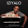 Iziyalo (Radio Edit) - CwengaBass&Sundile&Mpumi&Sibusiso Makhoba&DJ Lace&Chief_SA