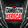 Mega Tambozin Xereca (Explicit) - Mc NK BH&Mc Wostin