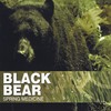 Road Runner - Black Bear