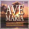 Mass No. 6 in E-Flat Major, D. 950: Mass No. 6 in E-Flat Major, D. 950: Credo: Et incarnatus est - Ildikò Raimondi&Bernarda Fink&Herbert Lippert&Helmut Wildhaber
