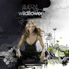 I Don't Wanna Know - Sheryl Crow