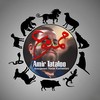 Dooset Nadaram - Amir Tataloo