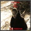 Polo's and Levi's(feat. Sinatra & Young Tev) (Explicit) - Bambino&Sinatra&Young Tev