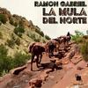 La Mula del Norte (feat. Reyes Montoya & Martin Sena) - Ramon Gabriel&Reyes Montoya&Martín Sena