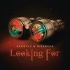 Looking For - Beowülf&Diskover