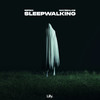Sleepwalking - Refeci&maybealice