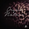 Soul Sista - Marcos Baiano