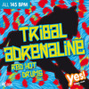 YES - Dj Dami&Max Marani&Graziano Fanelli
