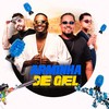 Arminha de Gel - Mc LH&Dj Peu&Mc Pai&Playzero31
