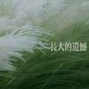 长大的遗憾 (你不要担心中文版) - 伊焱焱