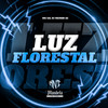 Luz Florestal (Explicit) - DJ MENOR SZ&MC Gil