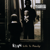 Good God (Explicit) - Korn