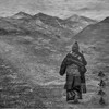 如去如来 - 刘柄鑫