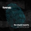 Aztec (Chris Cargo Remix) - The Stupid Experts&Chris Cargo