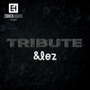 Hidden Messages (&lez Remix) - M.G.F Project