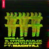 Fourth Kind(feat. Macntaj) - Brillz&Hydraulix&Macntaj