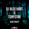 Dark Forest (Radio Edit) - DJ Alex Hart&Tonystar