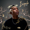 Tao Tao (feat. Nobantu Vilakazi, Chicco, Yumbs, Justin99, Jay Musiq & Djy) - M.J&Nobantu Vilakazi&Chicco&Yumbs&Justin99&Jay Musiq&Djy Biza