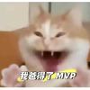 哎呀我爸得了MVP (旋转猫+灵感菇版) - 大叔很下饭