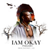 I Am Okay - Pallaso