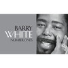 The Secret Garden (Sweet Seduction Suite) - Quincy Jones&Barry White&Al B. Sure!&James Ingram&El Debarge