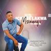 Yamnand'into (feat. Njabulo Langa) - Ichube lakwaMsimango&Njabulo Langa