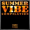 Everything Everyway (Original Mix) - Foo Funkers