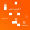 Ashes (Sunrise) - Tim Schou&loyalties