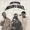 Metsi - Don Edward&Mellow & Sleazy