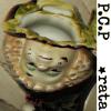 Rata - P.C.P