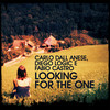 Looking for the One (Re Dupre Remix) - Carlo Dall Anese&Fabio Castro&Diego Logic&Re Dupre