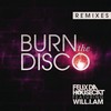 Burn the Disco (Bro Safari Remix) - Felix Da Housecat&will.i.am