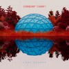 Hearts Are Opening Up (Passion Pit Remix) - Casper Caan&Passion Pit