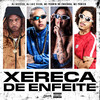 Xereca de Enfeite (Explicit) - Gessick&Mc Pedrin do Engenha&Complexo dos Hits&Dj Luiz Silva&MC Panico