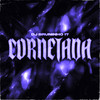CORNETADA - DJ BRUNINHO 17&Mc Neguinho do Morro