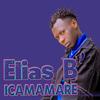 Icamamare - Elias B