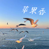 苹果香 - 圆圆圆圆