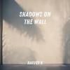 Shadows on the Wall - Harvey K