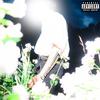 Eres cara (feat. shitface?) (Explicit) - ynk!&Shitface?