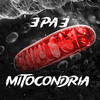 MITOCONDRIA (Explicit) - 3 Pa 3