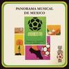 La Zandunga - Orquesta Tipica De La Ciudad De Mexico