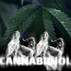 Cannabidiol (Explicit) - Astro VVS